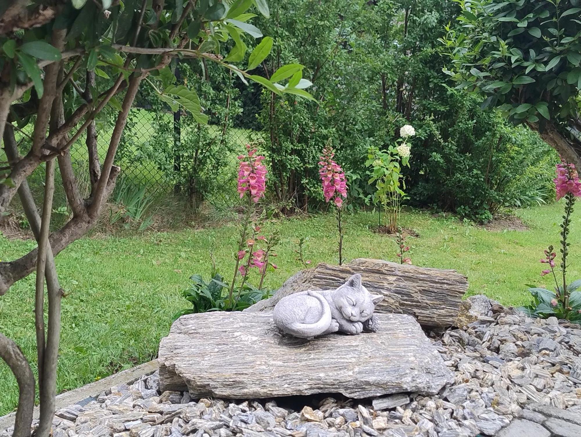 Villa Sloneczne Wzgorze Ustroň Exteriér fotografie